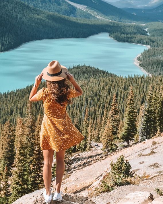 Peyto Lake Overlook 