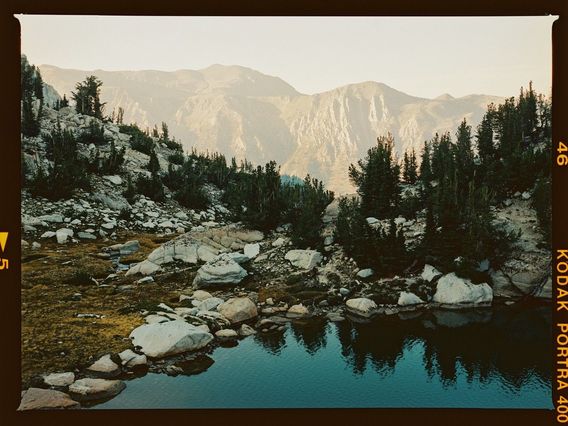 FRAME 15 — Exposed for shadows here and got way better results! One of my favorites from the trip.