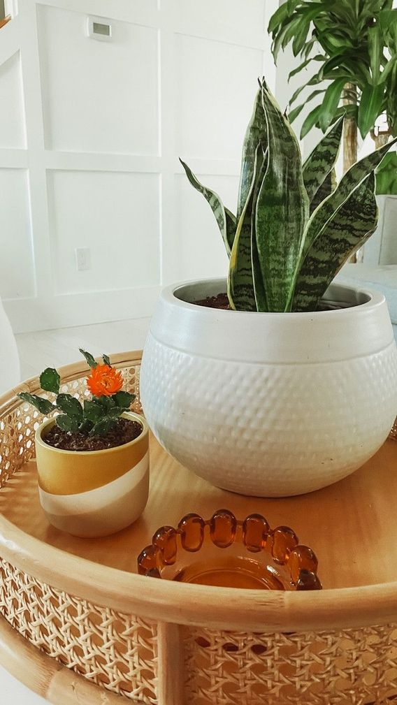 Current coffee table vibes ✌🏻