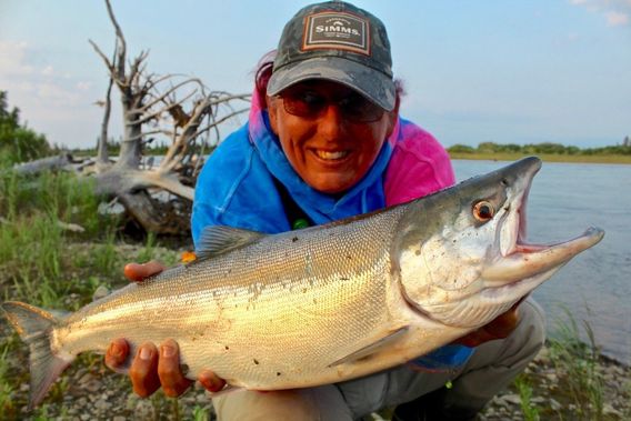 A chrome-bright sockeye salmon.