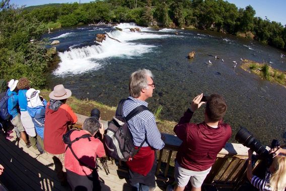 Viewing platform at Brooks Falls.