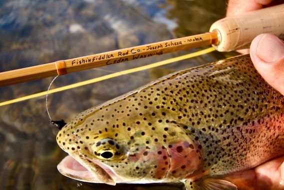 You’ll enjoy world-class trout fishing.