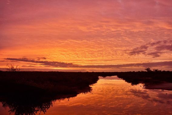 Sun rise, Mosquito Lagoon.