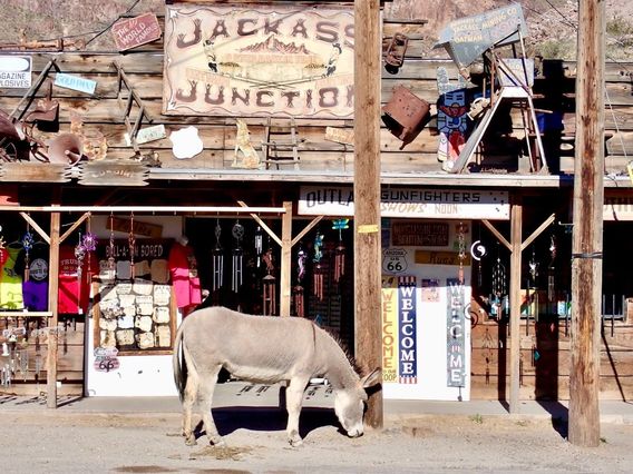 Because of the burros, people will refer to Oatman as Jackass Junction. This store sells burro food, of course.