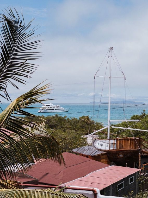 View from our hotel on Santa Cruz, Galápagos 