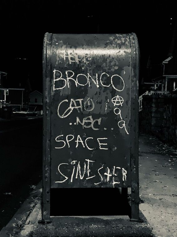 Bronco Anarchy 99