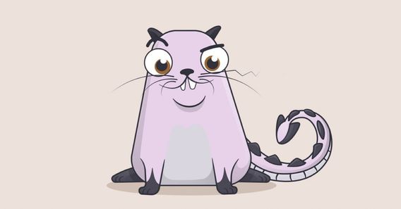 Photo: Dragon #896775 by CryptoKitties