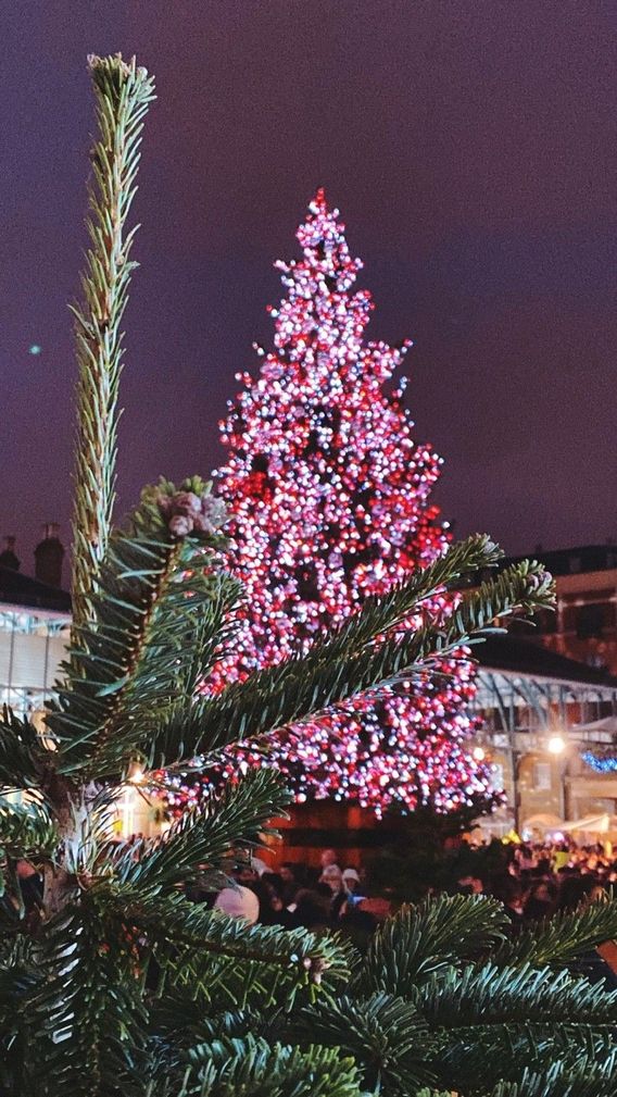 Christmas tree at Covent Garden Piazza