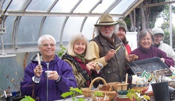 Working in the old greenhouse