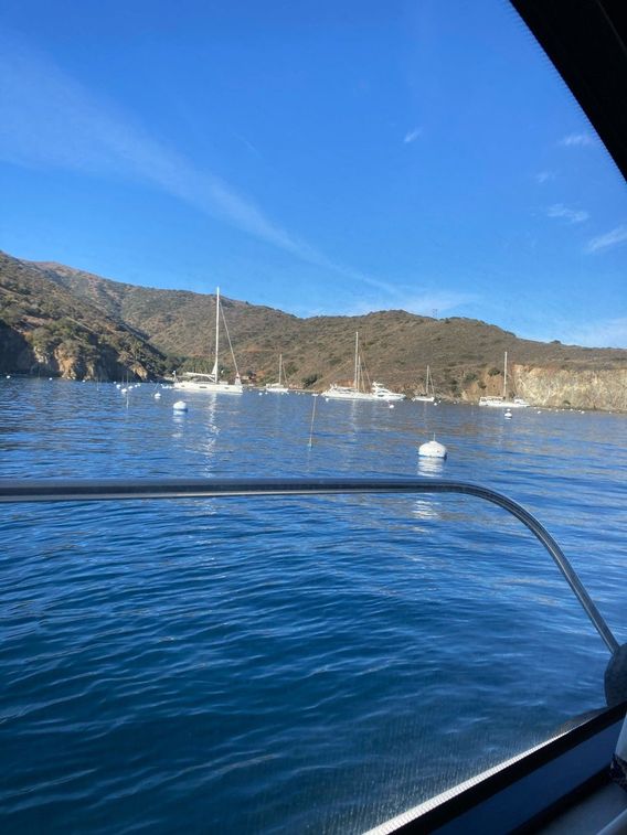 Boats on moorings, Catalina Island 