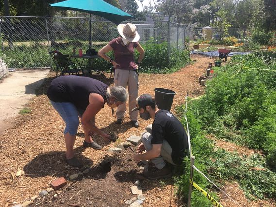 Julie, Patricia, and myself planting new sprouts