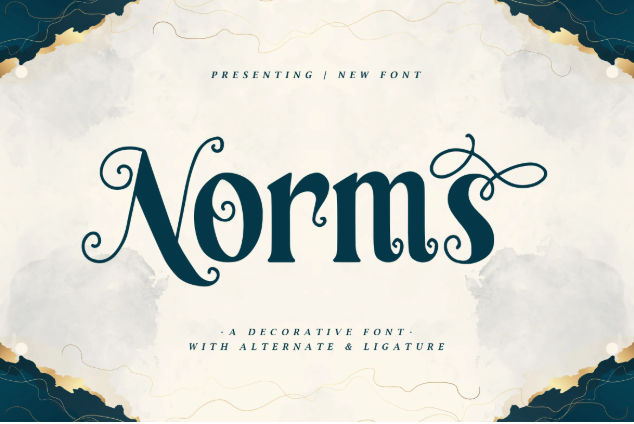 18. Norms