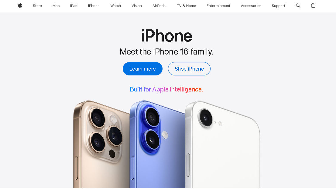 Sleek, refined minimalist style