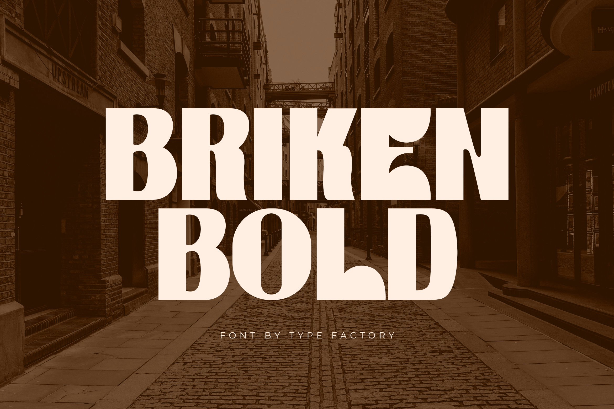 4. Briken Bold