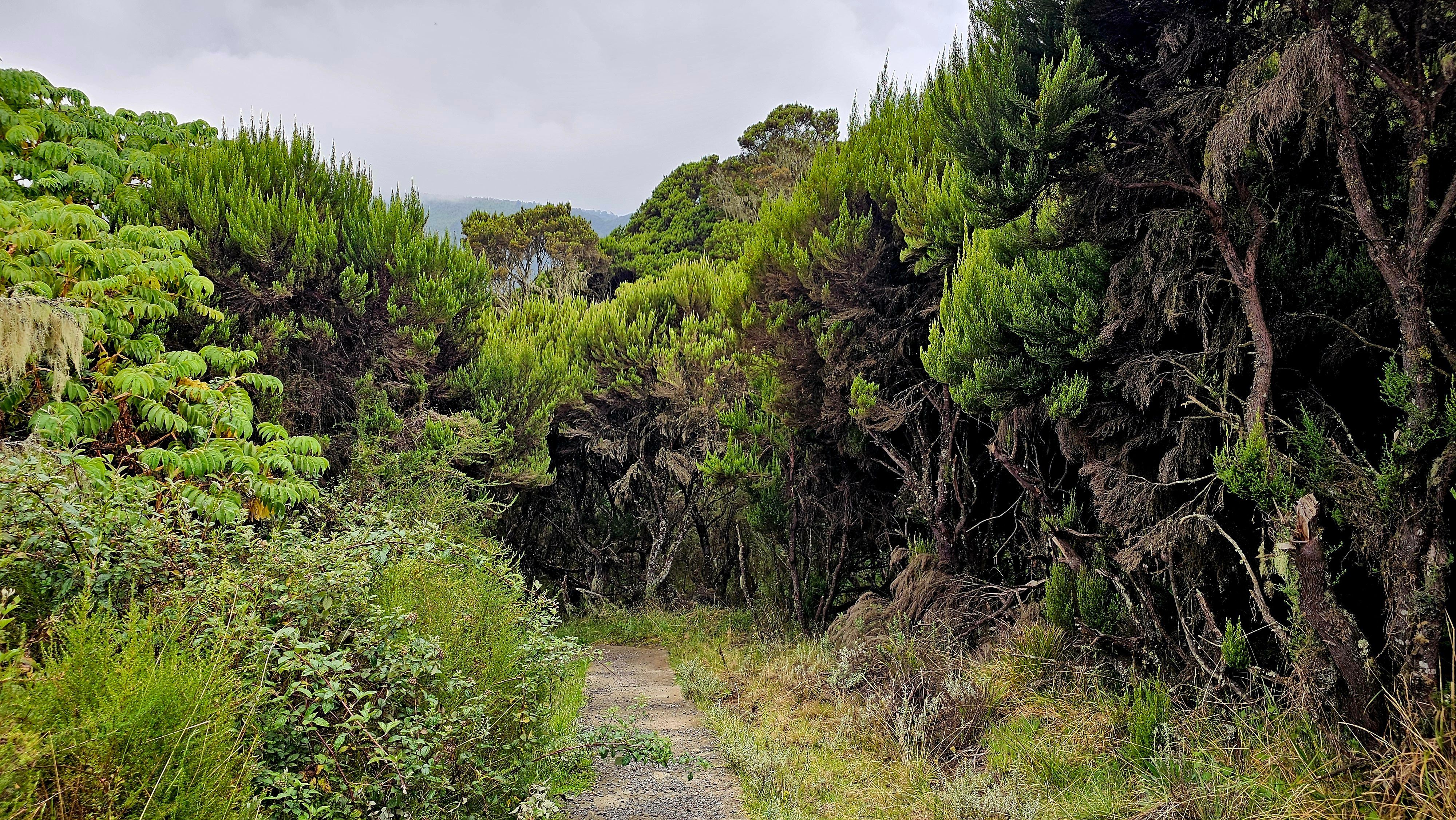 The path down to the Karuru viewpoint