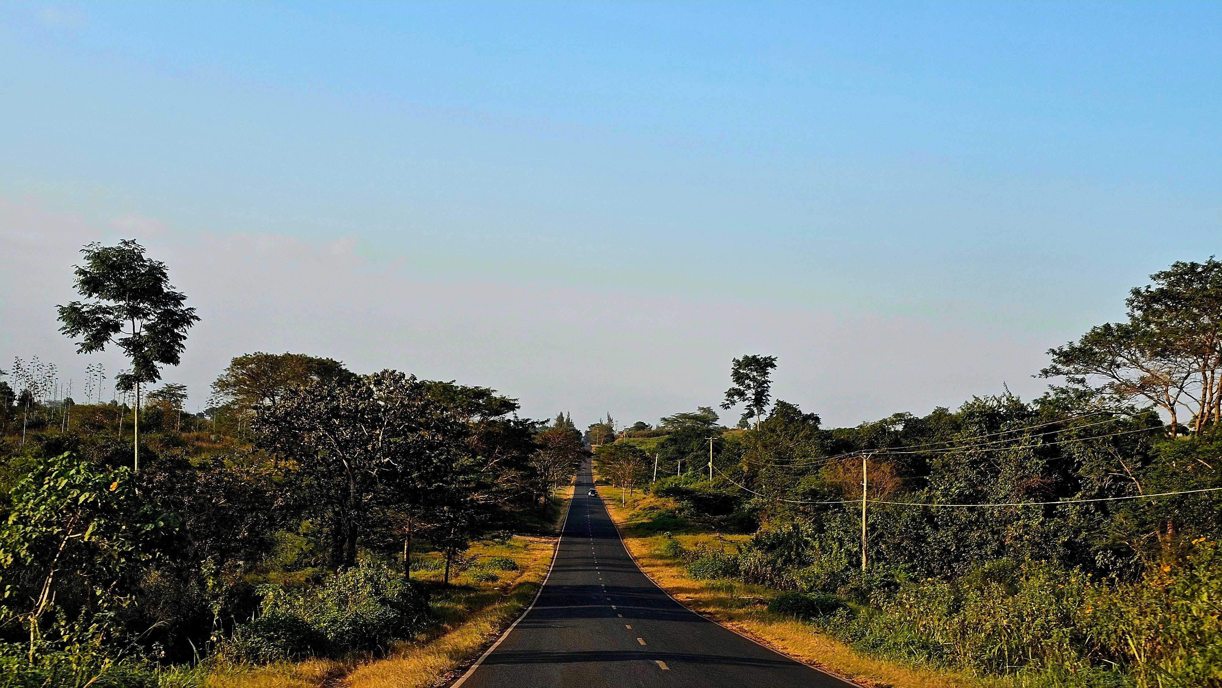 Photo of the week — Golden Hour at Thika Greens
