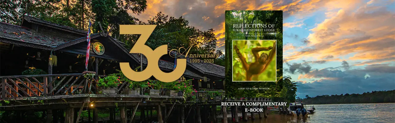 banner utama kecamatan ngabang