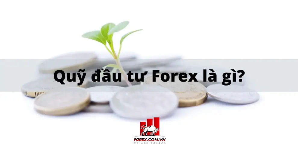 Đầu tư Forex như thế nào Tìm hiểu về đầu tư Forex