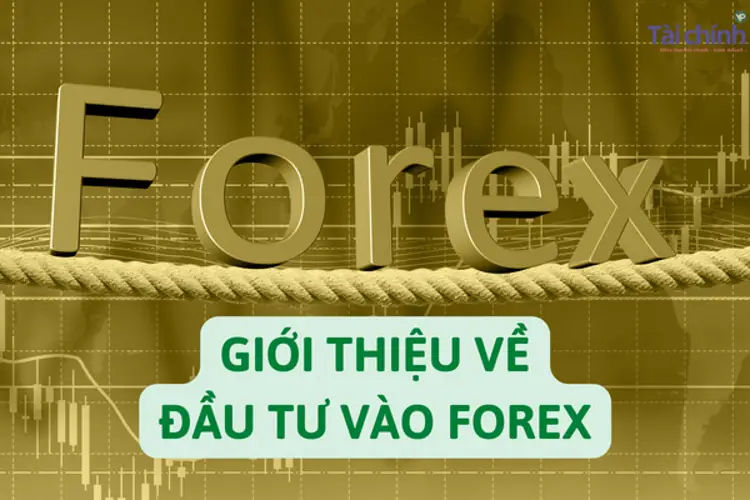 Đầu tư Forex như thế nào Tìm hiểu về đầu tư Forex