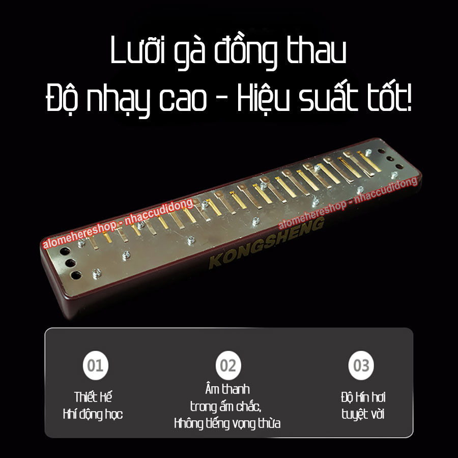 kongsheng 2420