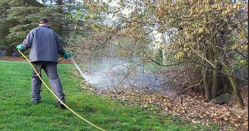 Mosquito Control: Fogger vs. Sprayer