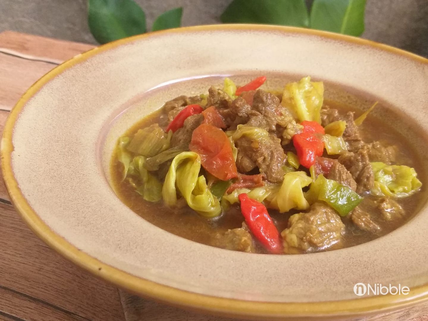 Resep Tongseng Daging Sapi Tanpa Santan Nibble