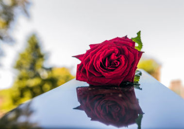 Children's Funeral Fund - Cover Rose on Casket