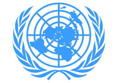 Revision of UN General Comment No 10 - Cover UN Logo