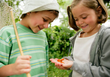 Two children looking at a ladybird