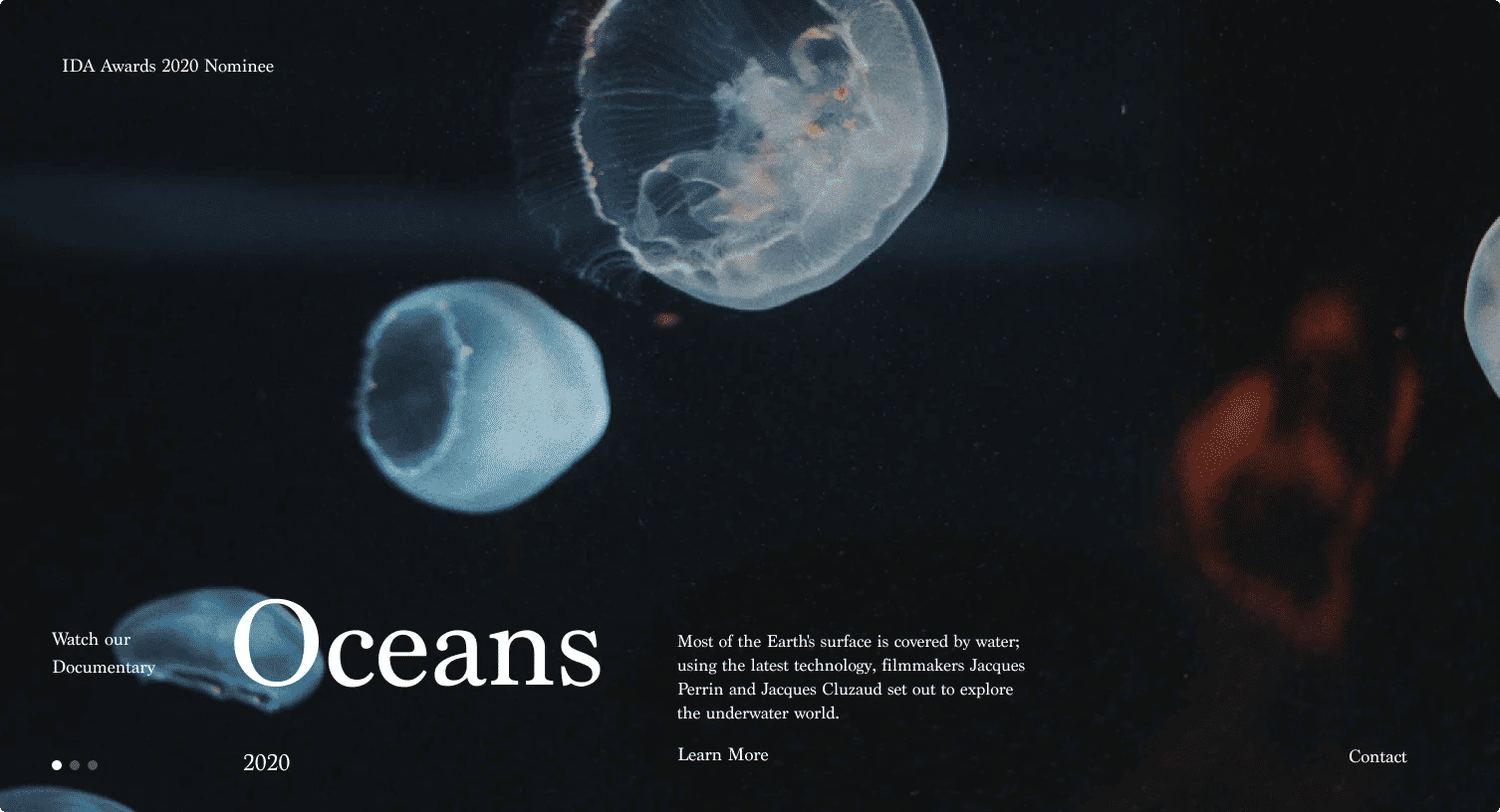 website design showing jellyfish over a dark background with the title oceans impressed in the front