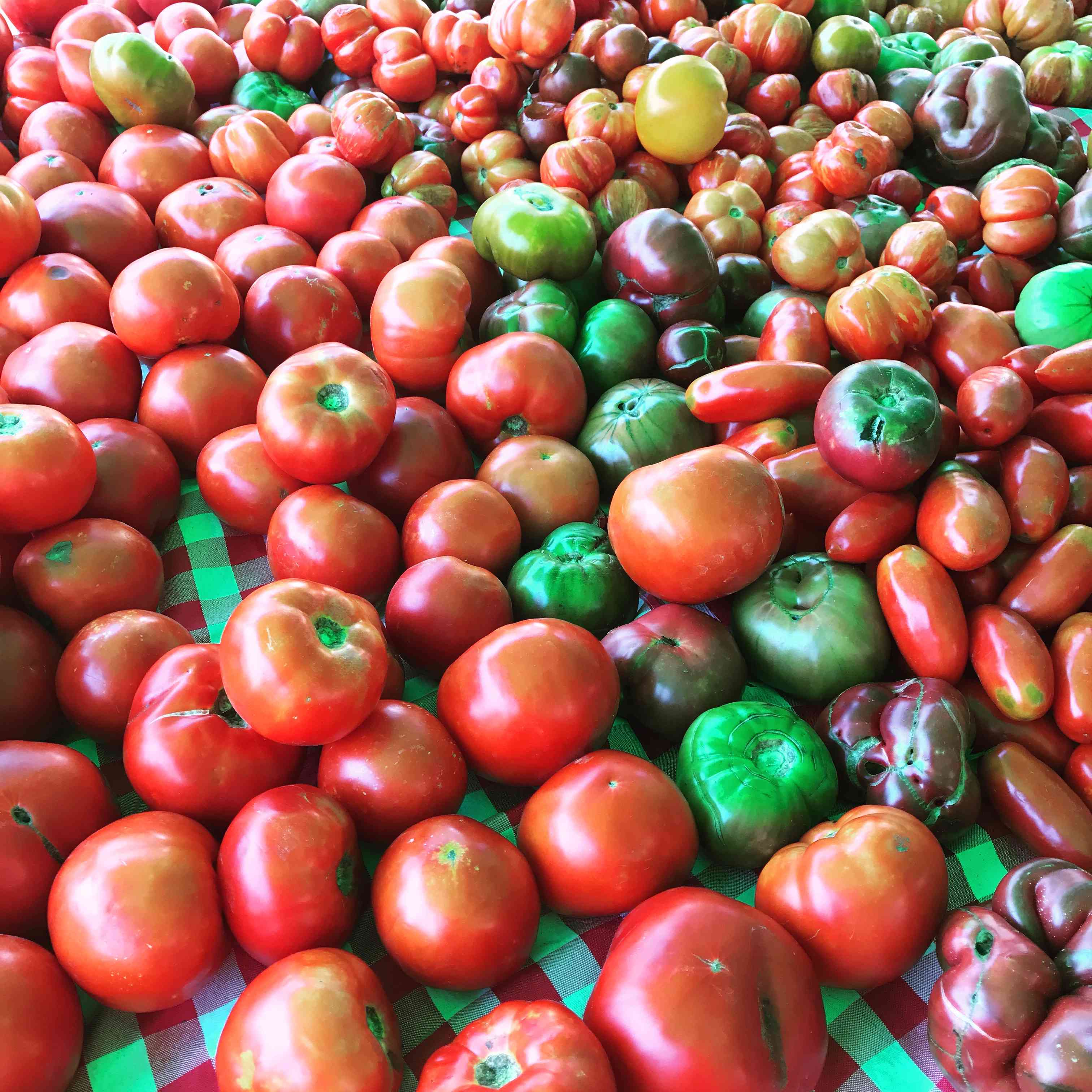 Farmer's Market Tomatoes