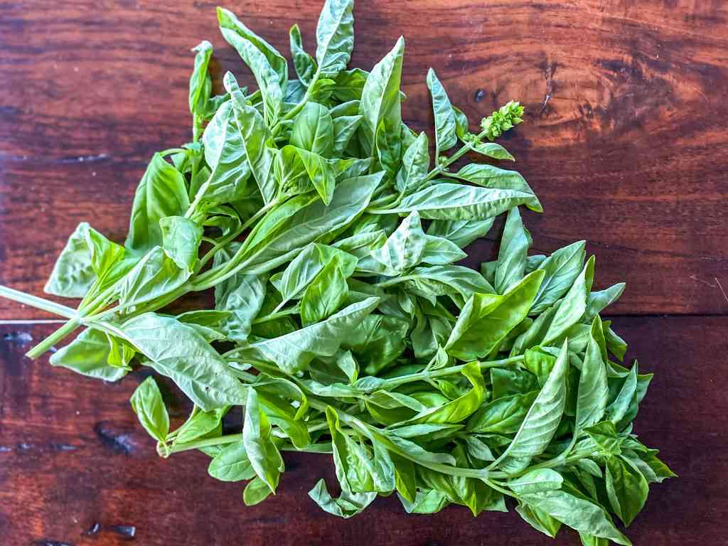 Summer Basil Pesto 