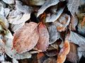 Ілюстративне фото / www.pexels.com