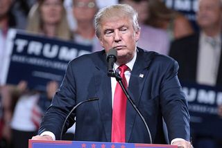 Дональд Трамп / wikimedia