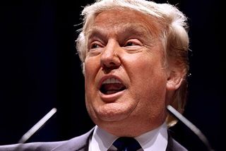 Дональд Трамп / wikimedia