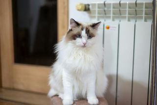 Ілюстративне фото / www.pexels.com