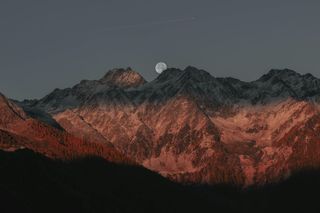 Ілюстративне фото / www.pexels.com