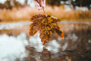 Ілюстративне фото / www.pexels.com