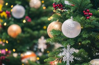 Ілюстративне фото / www.pexels.com