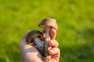 Ілюстративне фото / www.pexels.com