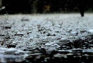 Ілюстративне фото / www.pexels.com