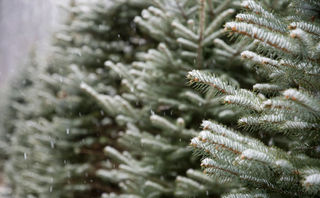 Ілюстративне фото / www.pexels.com