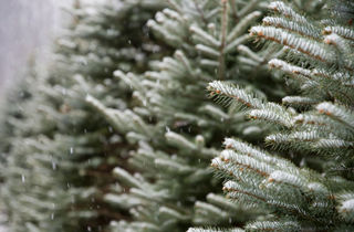 Ілюстративне фото / www.pexels.com