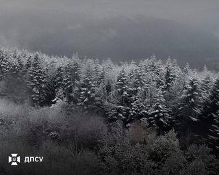 На Львівщині випав перший сніг / t.me/DPSUkr