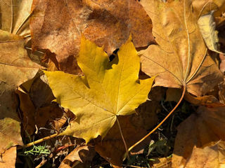 Ілюстративне фото / www.pexels.com