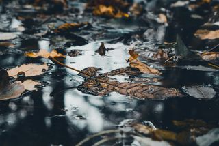 Ілюстративне фото / www.pexels.com