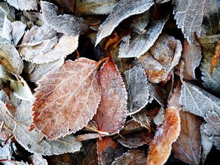 Ілюстративне фото / www.pexels.com