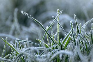 Ілюстративне фото / www.pexels.com