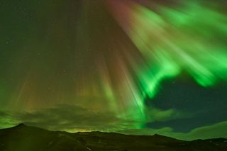 Ілюстративне фото / www.pexels.com