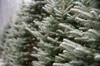 Ілюстративне фото / www.pexels.com